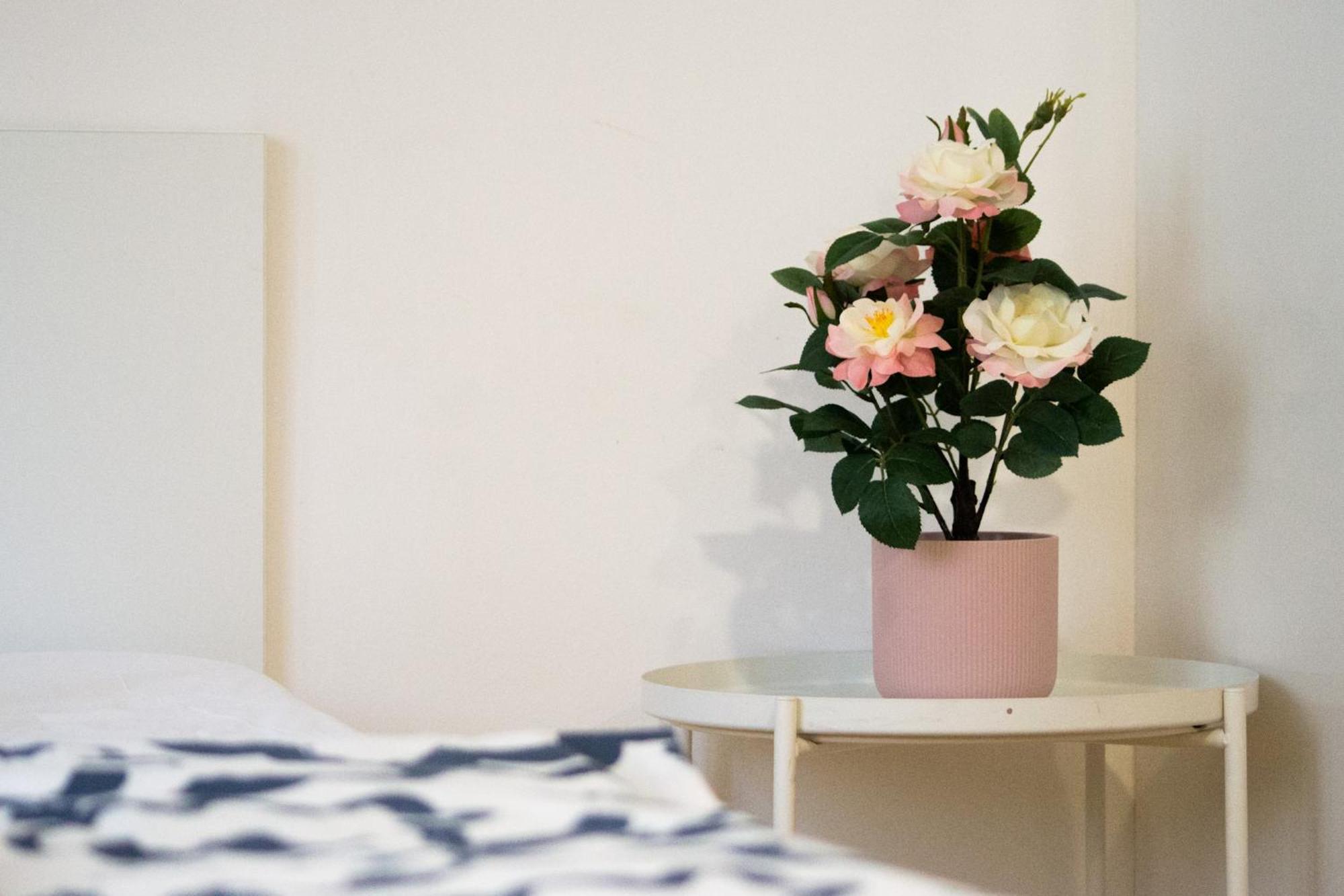 Apartman Vlna Apartment เบอร์โน ภายนอก รูปภาพ