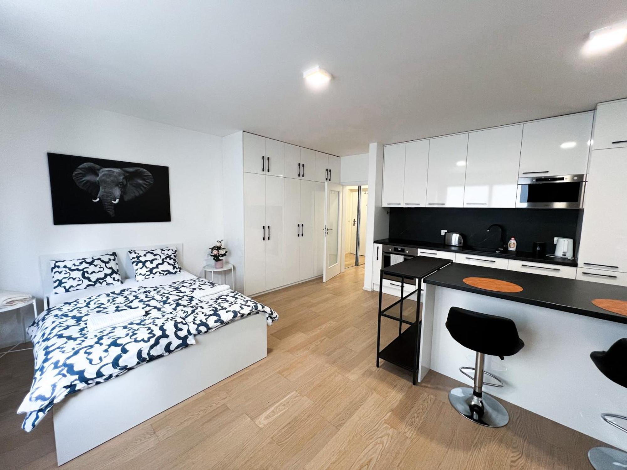 Apartman Vlna Apartment เบอร์โน ภายนอก รูปภาพ